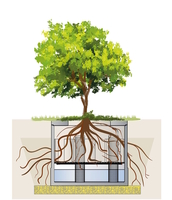 Die Baumrigole ViaTree dient der optimalen Versorgung von Stadtbäumen. (Bild: Mall GmbH)